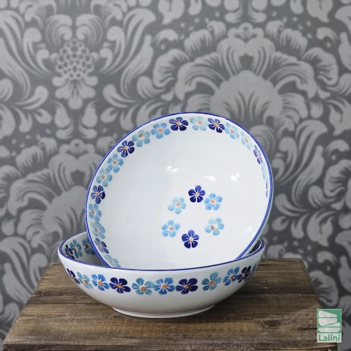 ظروف سرامیکی